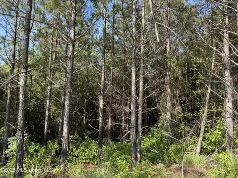 Seymour Road, Kilmichael, MS 39747 photo 12