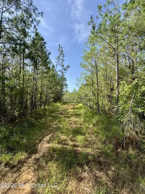 Seymour Road, Kilmichael, MS 39747 photo 8