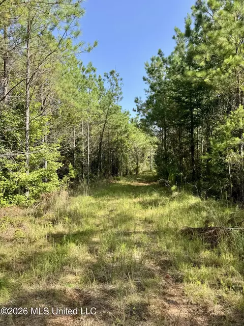 Seymour Road, Kilmichael, MS 39747 photo 13