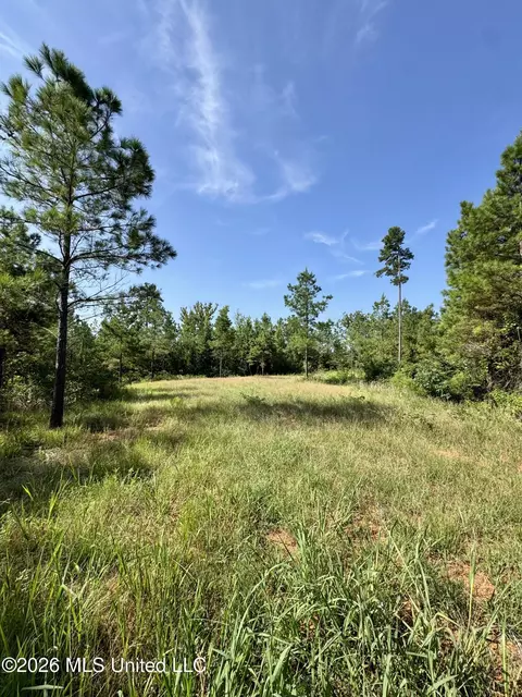 Seymour Road, Kilmichael, MS 39747 photo 10