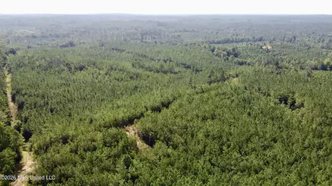 Seymour Road, Kilmichael, MS 39747 photo 3