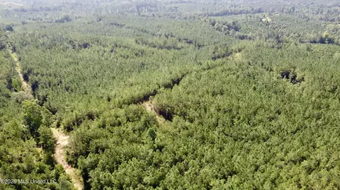 Seymour Road, Kilmichael, MS 39747 photo 7