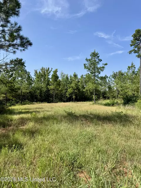 Seymour Road, Kilmichael, MS 39747 photo 9