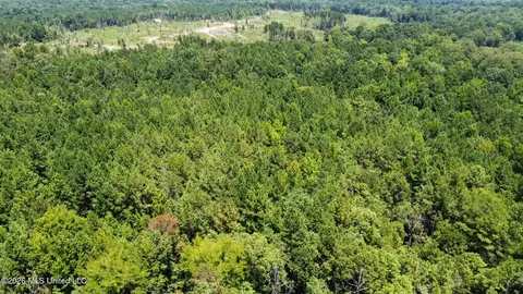 Highway 84, Roxie, MS 39661 photo 30