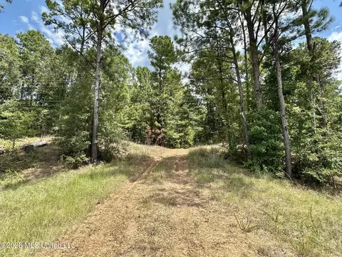 Highway 84, Roxie, MS 39661 photo 3