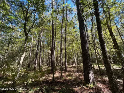 Highway 84, Roxie, MS 39661 photo 10