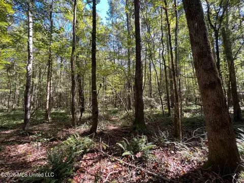 Highway 84, Roxie, MS 39661 photo 9