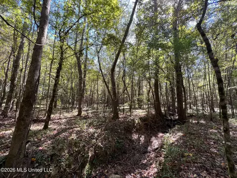 Highway 84, Roxie, MS 39661 photo 13