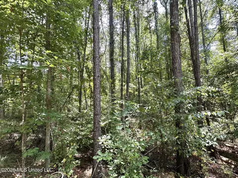 Highway 84, Roxie, MS 39661 photo 17