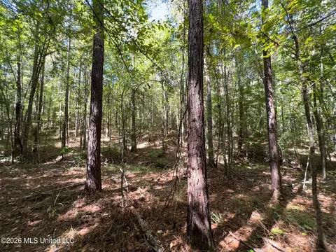 Highway 84, Roxie, MS 39661 photo 14
