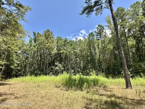 Highway 84, Roxie, MS 39661 photo 19