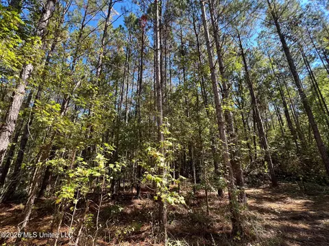 Highway 84, Roxie, MS 39661 photo 5