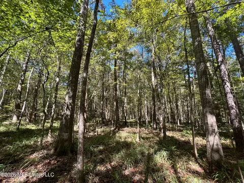 Highway 84, Roxie, MS 39661 photo 12