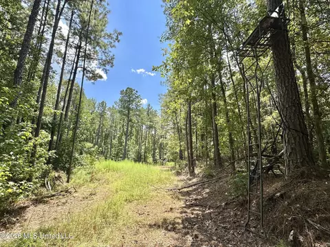 Highway 84, Roxie, MS 39661 photo 25