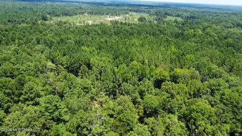 Highway 84, Roxie, MS 39661 photo 27