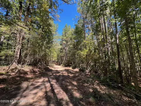 Highway 84, Roxie, MS 39661 photo 15