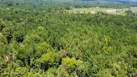 Highway 84, Roxie, MS 39661 photo 31
