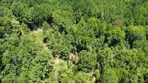 Highway 84, Roxie, MS 39661 photo 28