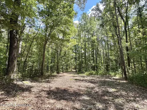 Highway 84, Roxie, MS 39661 photo 16