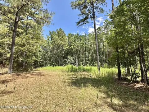 Highway 84, Roxie, MS 39661 photo 18