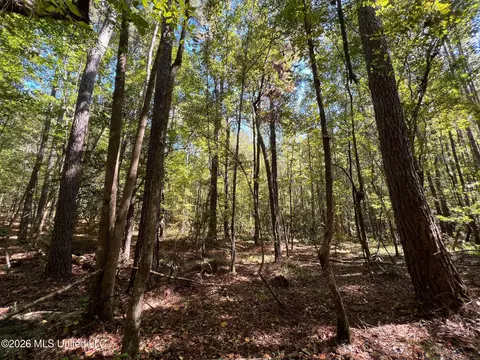 Highway 84, Roxie, MS 39661 photo 7
