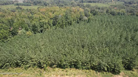 Cr 2132, Mccool, MS 39108 photo 6