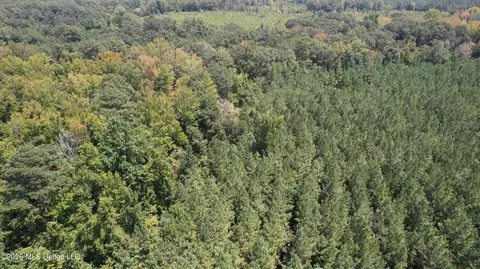 Cr 2132, Mccool, MS 39108 photo 3