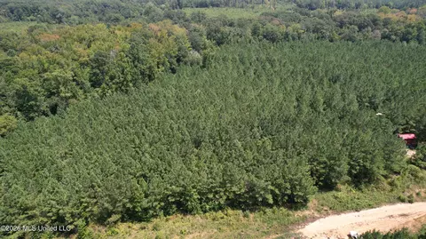 Cr 2132, Mccool, MS 39108 photo 4