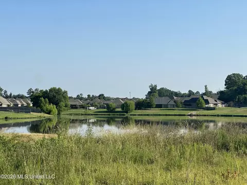 View/Area - 414 Old Maple Cv, Madison, MS 39110 photo 1 of 1