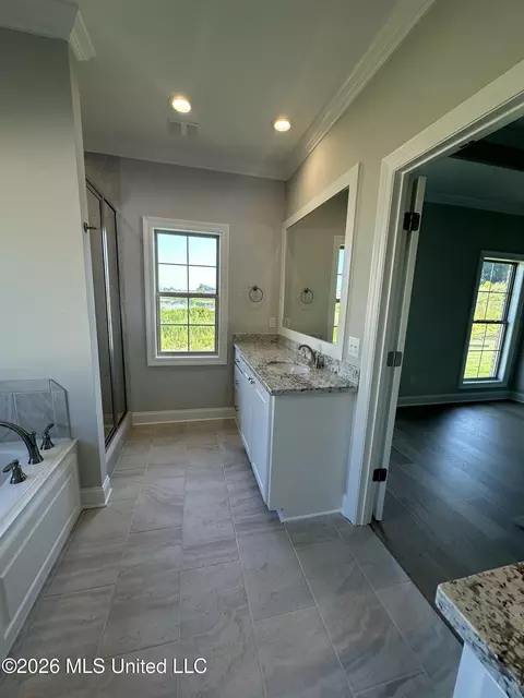 Bath - 414 Old Maple Cv, Madison, MS 39110 photo 1 of 6