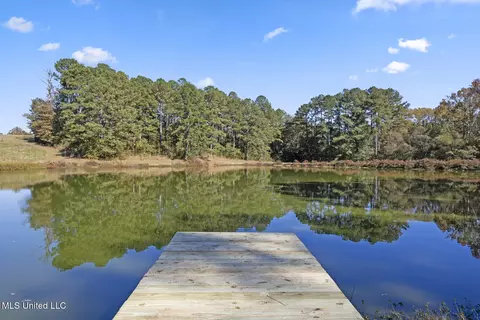 View/Area - 1245 Highway 25, Lena, MS 39094 photo 2 of 6