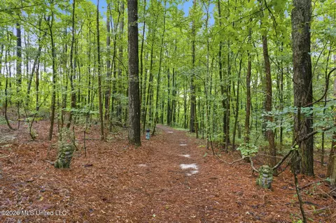 Other - 1245 Highway 25, Lena, MS 39094 photo 15 of 21