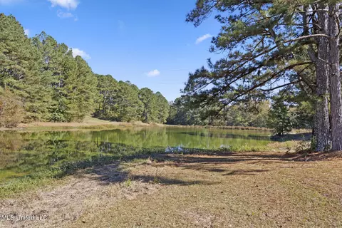 View/Area - 1245 Highway 25, Lena, MS 39094 photo 3 of 6