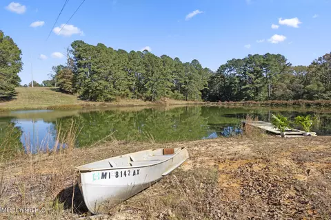 Other - 1245 Highway 25, Lena, MS 39094 photo 10 of 21
