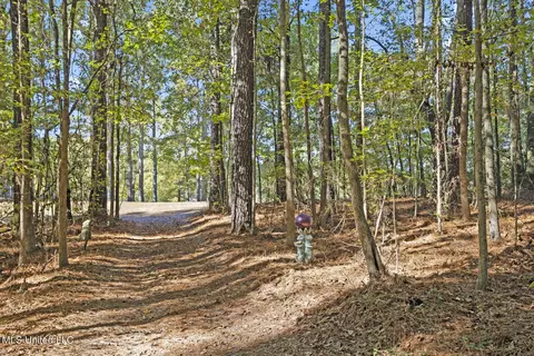 Other - 1245 Highway 25, Lena, MS 39094 photo 17 of 21