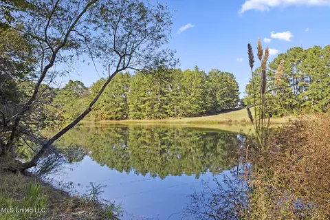View/Area - 1245 Highway 25, Lena, MS 39094 photo 4 of 6