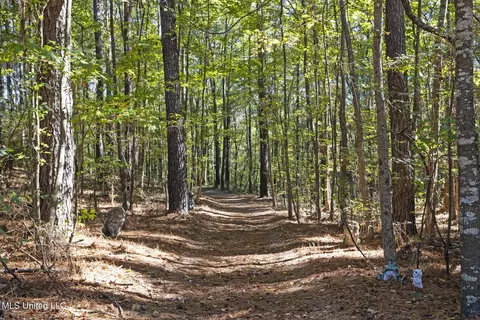 Other - 1245 Highway 25, Lena, MS 39094 photo 16 of 21