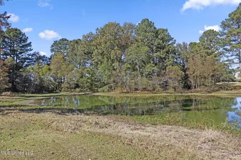Other - 1245 Highway 25, Lena, MS 39094 photo 11 of 21