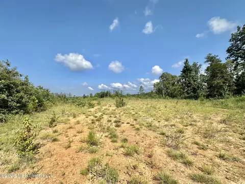 2 Will Womack, Mantee, MS 39751 photo 4