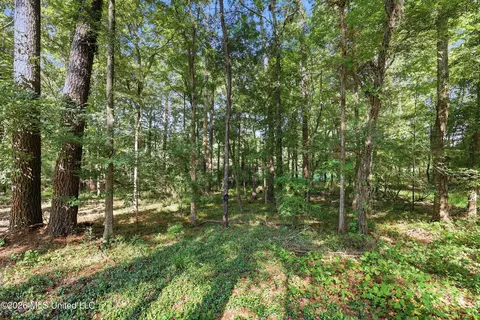 Exterior - 403 Warwick Rd, Clinton, MS 39056 photo 17 of 18