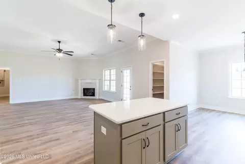 Living - 7658 John Elliott Ln, Hernando, MS 38632 photo 3 of 3