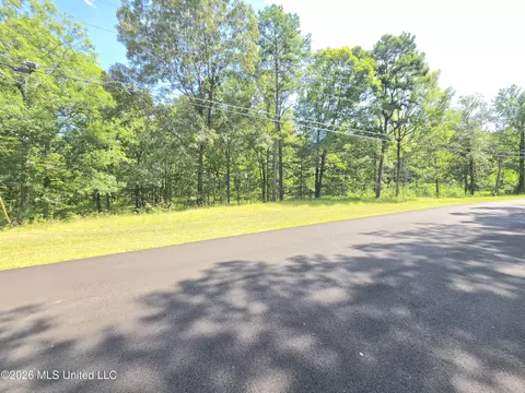 John Wayne Road, Brandon, MS 39042 photo 10