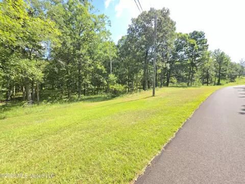 John Wayne Road, Brandon, MS 39042 photo 9