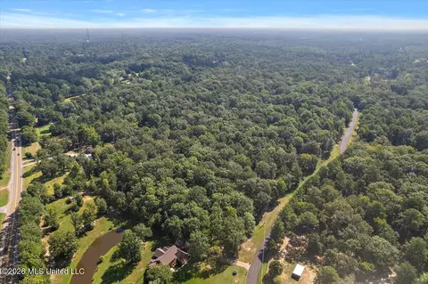 John Wayne Road, Brandon, MS 39042 photo 4