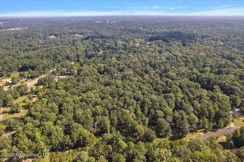 John Wayne Road, Brandon, MS 39042 photo 7