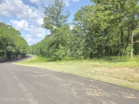 John Wayne Road, Brandon, MS 39042 photo 8