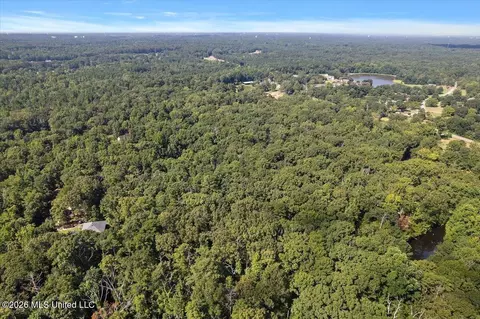 John Wayne Road, Brandon, MS 39042 photo 2