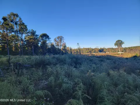 Haralson Lane, Forest, MS 39074 photo 2