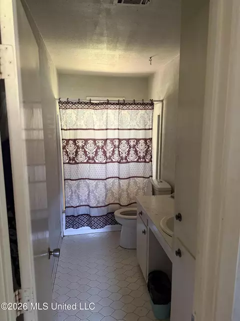 Bath - 108 Crimson Ln, Brandon, MS 39042 photo 1 of 2