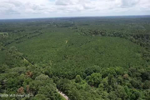 Smith County Road, Raleigh, MS 39153